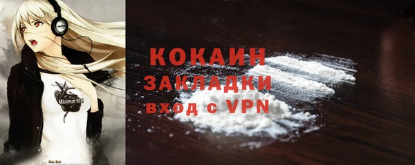 индика Сафоново
