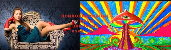 спиды Абдулино