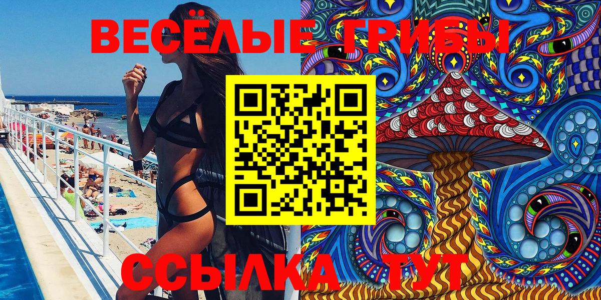 как найти   Галлюциногенные грибы Psilocybine cubensis  Вход с VPN  Менделеевск 