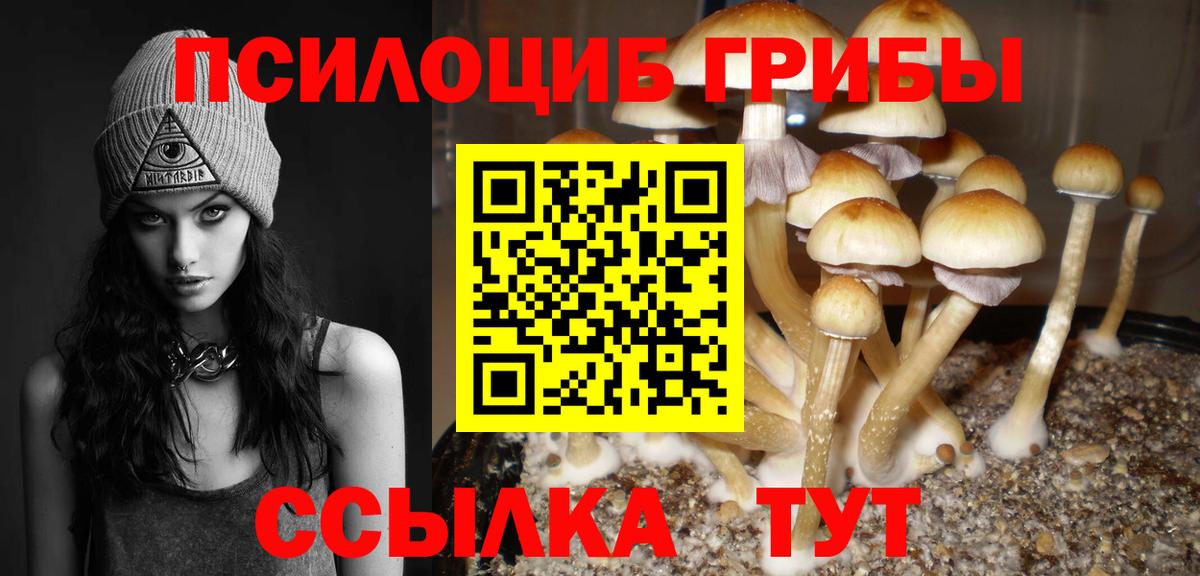 Галлюциногенные грибы Psilocybine cubensis Менделеевск